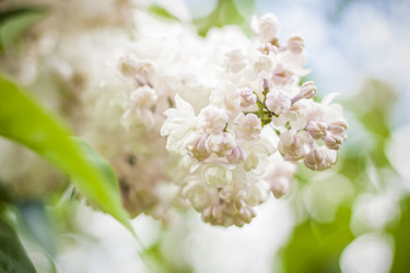 Similar image 21111543