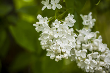 Similar image 21111544