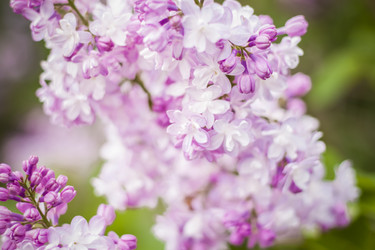 Similar image 21111545