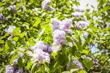 Similar image 21111546