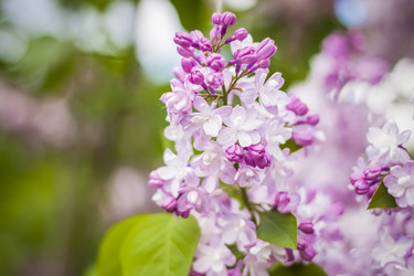 Similar image 21111548