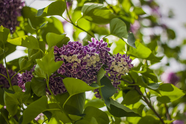 Similar image 21111549