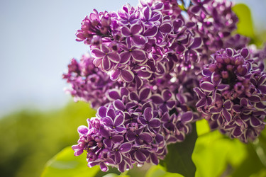 Similar image 21111550