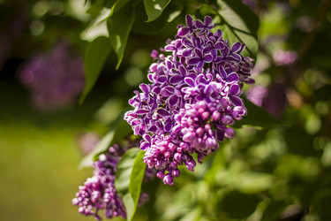 Similar image 21111552