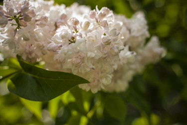 Similar image 21111554