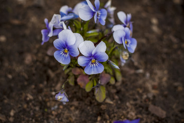 Similar image 21111557