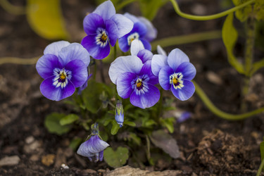 Similar image 21111558