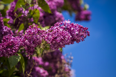 Similar image 21111560