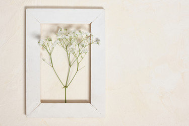 Similar image 21102225