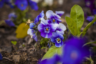 Similar image 21111450