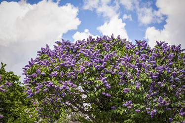 Similar image 21111451