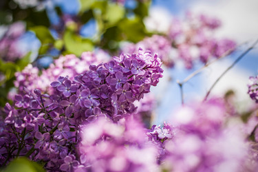 Similar image 21109566