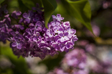 Similar image 21099145