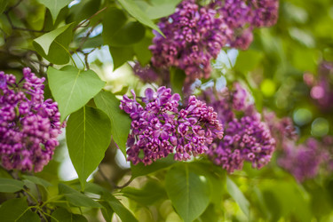 Similar image 21099147