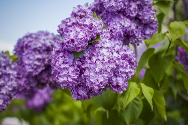 Similar image 21099148