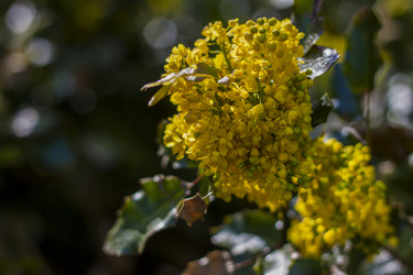 Similar image 21099149