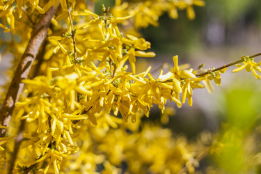 Similar image 21099151