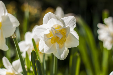 Similar image 21099152