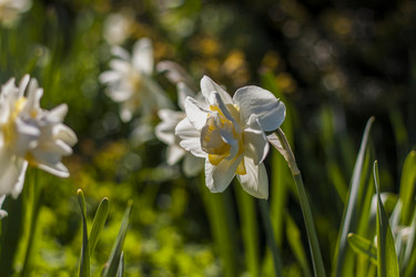 Similar image 21099153