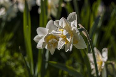 Similar image 21099154