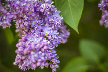 Similar image 21099157