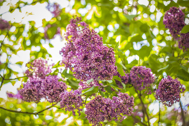 Similar image 21099158