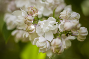 Similar image 21099173