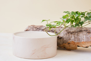 Similar image 21102238