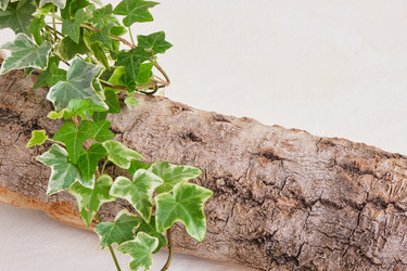 Similar image 21102240