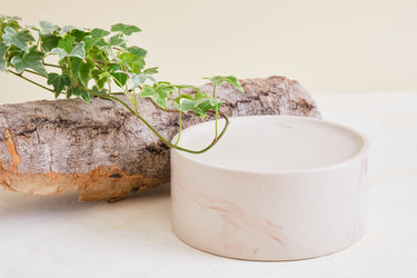 Similar image 21102244