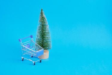 Similar image 21101294