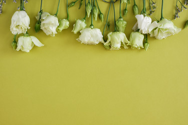 Similar image 21101427