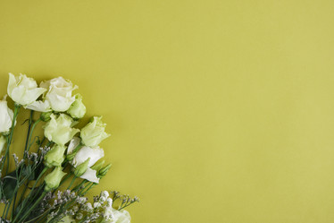 Similar image 21101798