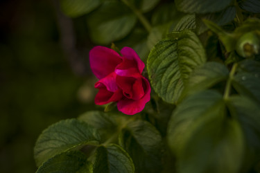 Similar image 21094930