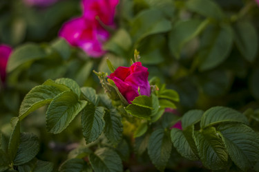 Similar image 21094933