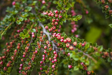 Similar image 21094934