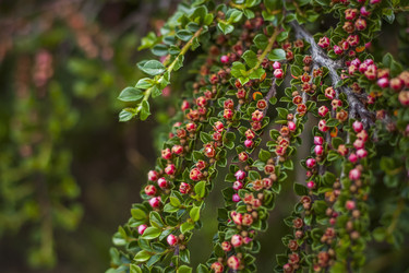 Similar image 21094935