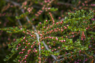 Similar image 21094936