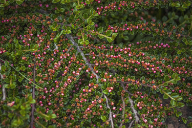 Similar image 21094937