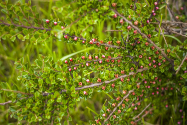 Similar image 21094938