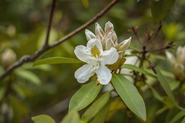 Similar image 21094939