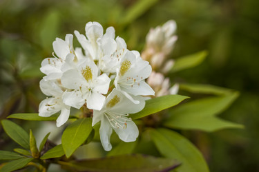 Similar image 21094942