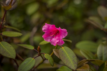 Similar image 21094943