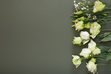 Similar image 21102279