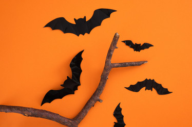 Similar image 21097771