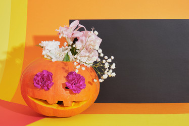 Similar image 21101252