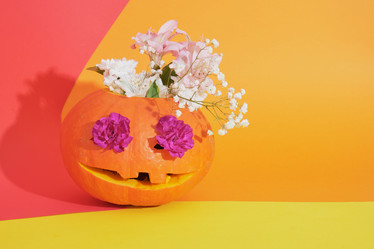 Similar image 21101254