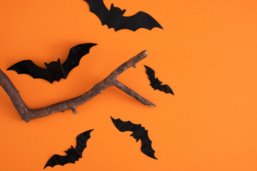 Similar image 21101300