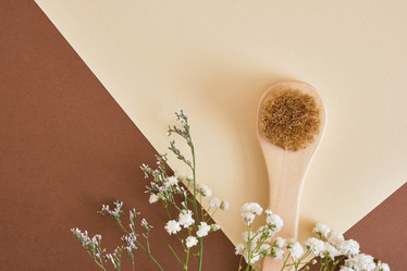 Similar image 21101436