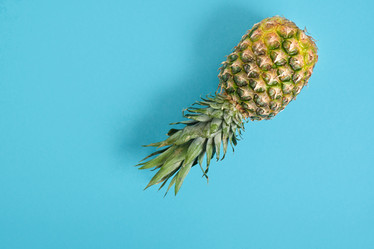 Similar image 21101440